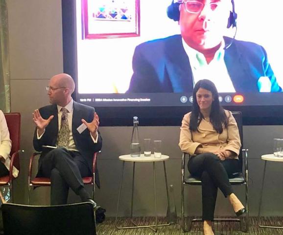 «المشاط» تناقش كيفية تفعيل أدوات التمويل المبتكر لدفع التحول إلى الاقتصاد الأخضر