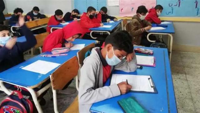 نتيجة الصف السادس الابتدائي برقم الجلوس والاسم