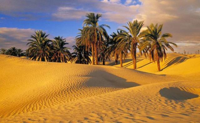 مشروع المثلث الذهبي بالصعيد