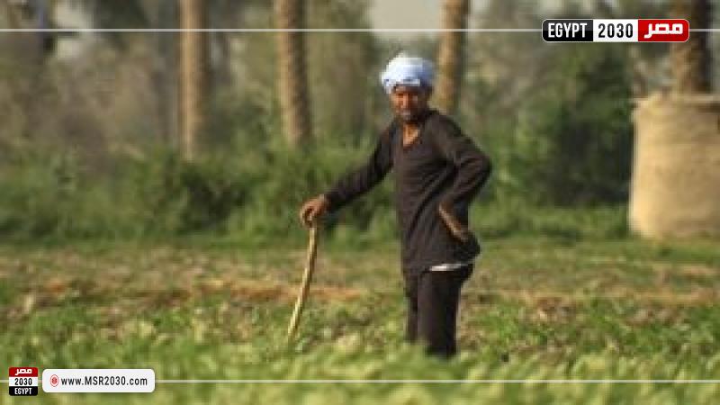 الفلاح المصري