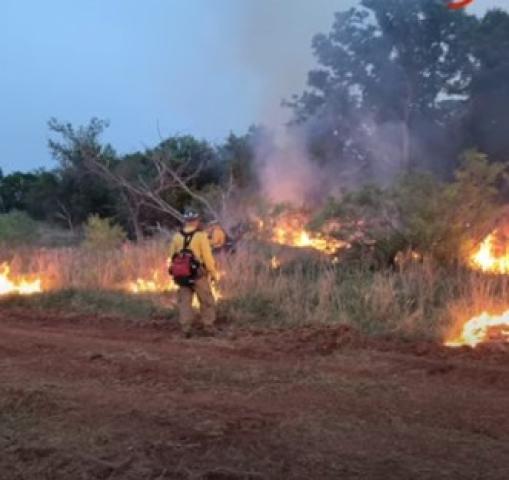 التهمت 7 آلاف فدان.. حرائق هائلة تجتاح ولاية تكساس الأمريكية  «فيديو»