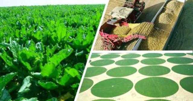 الرئيس يشاهد فيلما تسجيليا لمشروع مستقبل مصر الزراعي