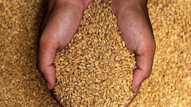 إحباط تهريب 200 طن قمح في السوق السوداء بالبحيرة