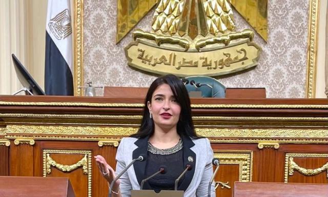 النائبة ايرين سعيد