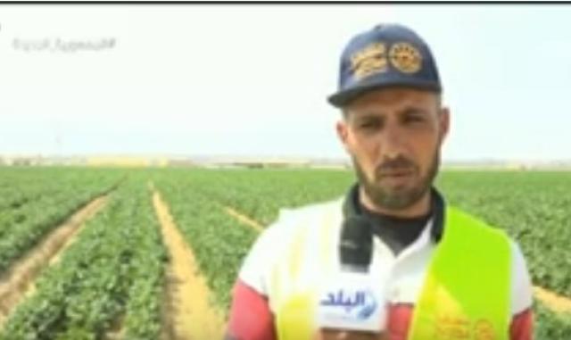 أحد المزارعين بـ «مستقبل مصر»: أي شاب عاطل يجي يشتغل هنا - فيديو