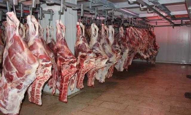 «الزراعة»: حققنا الاكتفاء الذاتي بالدواجن و60% في اللحوم الحمراء