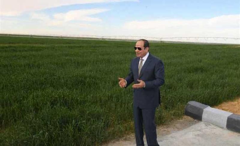مشروع مستقبل مصر