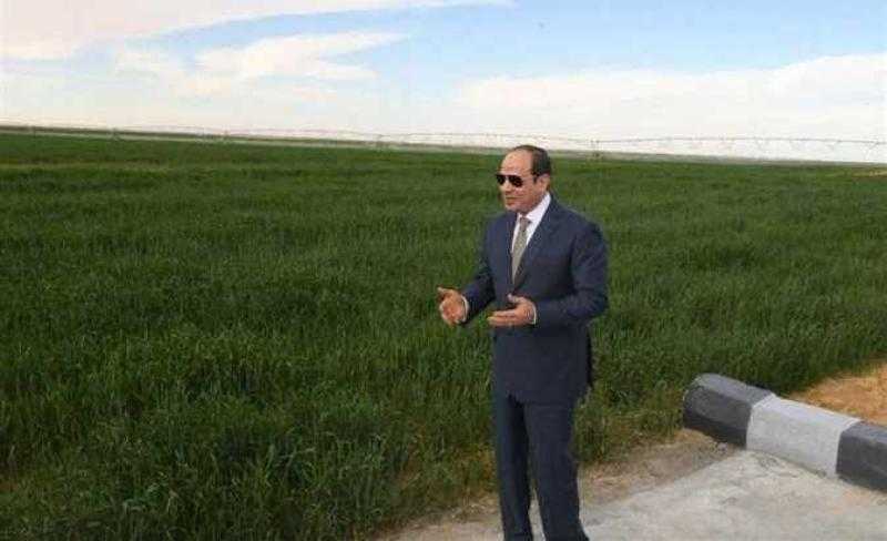 تعرف على المشروع القومي لاستصلاح وزراعة 500 ألف فدان بشمال ووسط سيناء
