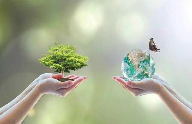 مصدر للكساء والغذاء.. البيئة تكشف أهمية التنوع البيولوجي للإنسانية - «فيديو»