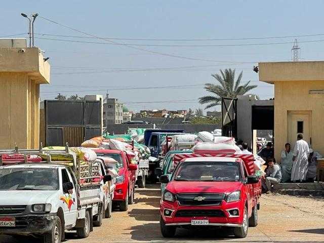 محافظ البحيرة: توريد 220 ألف طن من الذهب الأصفر لشون وصوامع المحافظة
