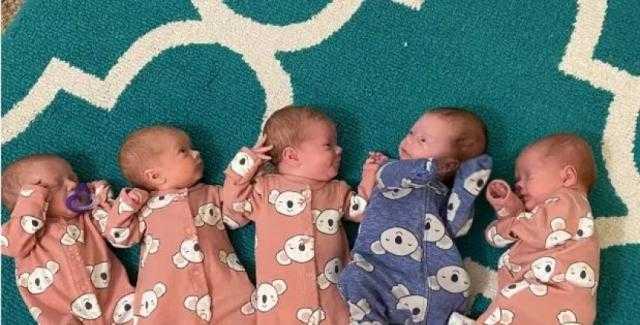 في حالة نادرة.. سيدة تضع 5 توائم في طنطا «فيديو»