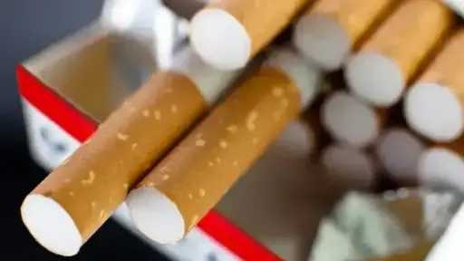 أسعار السجائر اليوم الخميس 5 مارس 2026 بعد الزيادة الأخيرة