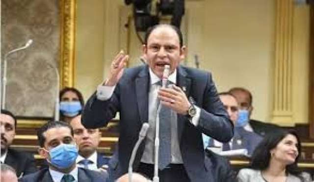 النائب رياض عبد الستار 