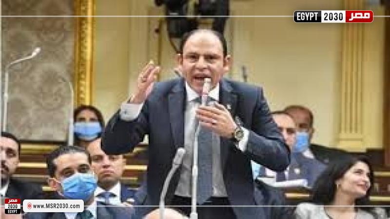 النائب رياض عبد الستار