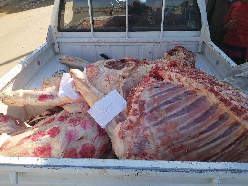 ضبط 600 كيلو لحوم مجهولة المصدر قبل بيعها وجبات في رأس البر