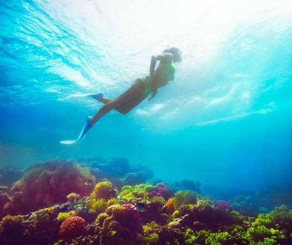 ارتفاع تقييم مصر 6 درجات في هذا المؤشر مقارنة بتقييم 2019
