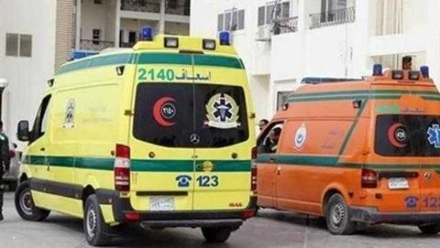 مصرع وإصابة 12 شخصًا في انقلاب ميكروباص على طريق أسيوط الغربي