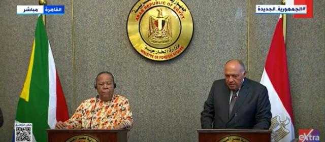 وزير الخارجية: مصر ساهمت في تحرير جنوب إفريقيا من النظام العنصري