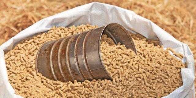 أسعار الأعلاف وخاماتها في الأسواق اليوم 26-5-2022