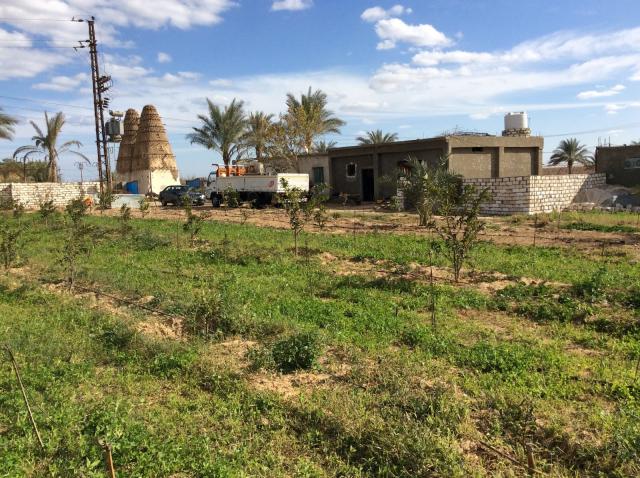 العثور على 5 جثث لأسرة واحدة بمزرعة في الجيزة 