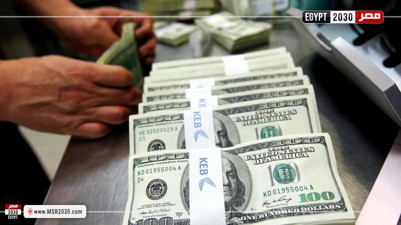 سعر الدولار اليوم في مصر