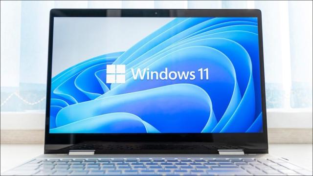 ويندوز 11