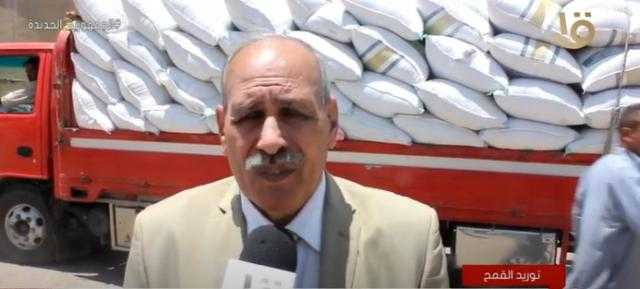 «تموين بني سويف» تزف بُشرى سارة بشأن نسبة توريد القمح- فيديو