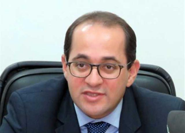 نائب وزير المالية
