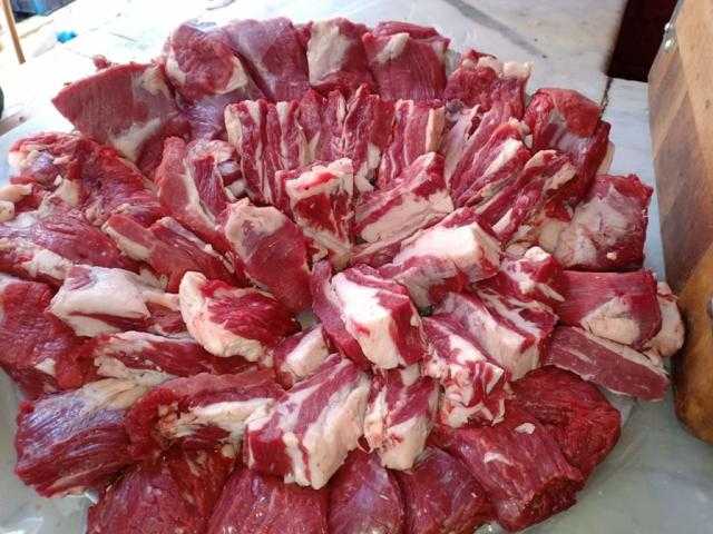 نادي الصيد المصري يعلن عن ممارسة عامة اليوم لتوريد اللحوم والدواجن المجمدة