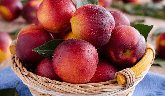 استشاري إعلام غذائي: «لا تشتروا الخضروات والفاكهة في هذا التوقيت»