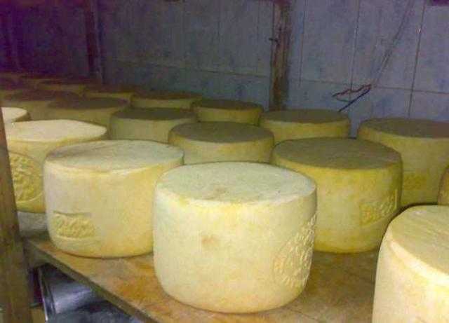 شرطة التموين تضبط 9 طن جبن رومي وأبيض فاسدين بالجيزة