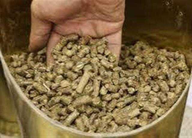 الأمن يضبط 7 طن أعلاف حيوانية فاسدة داخل مخزن في الشرقية