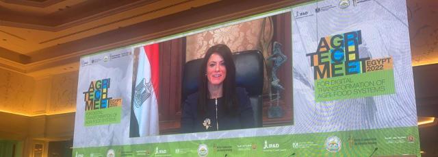 رانيا المشاط وزيرة التعاون الدولي 