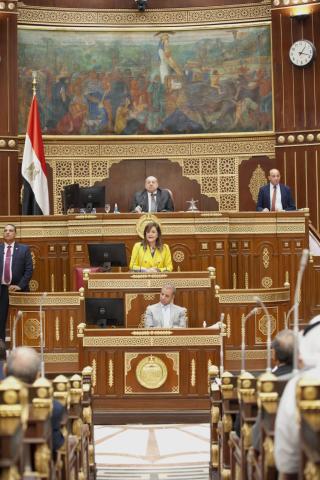 وزيرة التخطيط أمام مجلس الشيوخ 