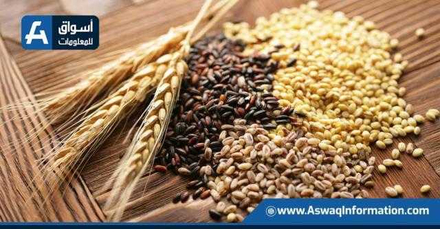 أوكرانيا تتهم روسيا بسرقة نصف مليون طن من حبوبها الغذائية