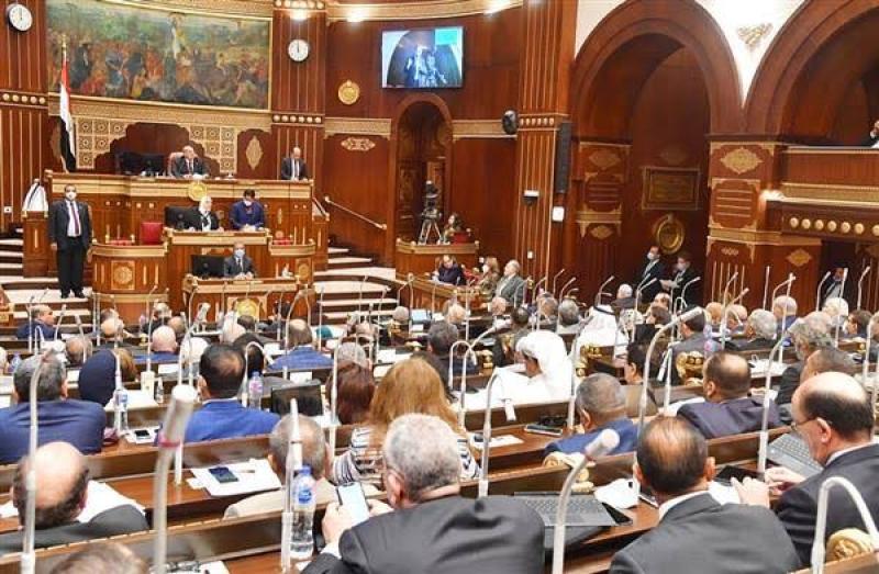 مجلس الشيوخ