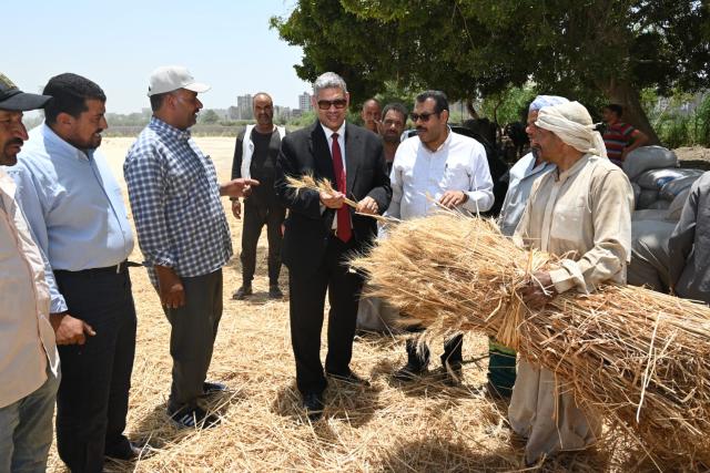  بدء موسم حصاد القمح بمزارع كلية الزراعة بالفيوم