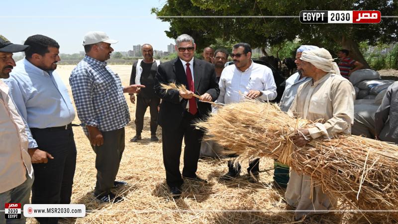  بدء موسم حصاد القمح بمزارع كلية الزراعة بالفيوم