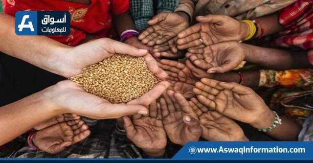 الأمم المتحدة تبحث سبل حل أزمة الغذاء العالمية