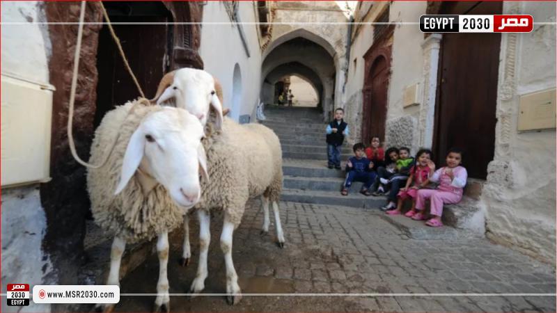 أطفال وخروف أضحية العيد (تعبيرية)