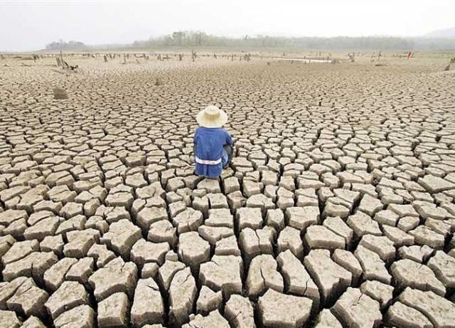 شاهد.. كيف تُسبب التغيرات المناخية ظهور الأمراض والفيروسات؟