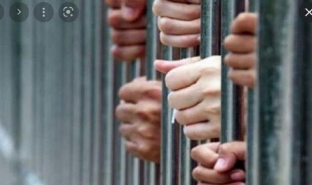 ضبط مواد مخدرة وأسلحة بحوزة 12 عاطلا بالقليوبية