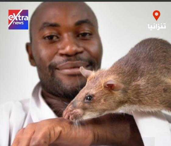 شاهد.. الفئران تنقذ العالقين تحت الركام في تنزانيا