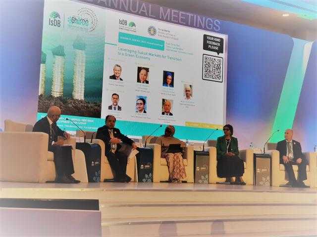 الحكومة تدرس إصدار أول طرح للصكوك السيادية خلال الفترة المقبلة