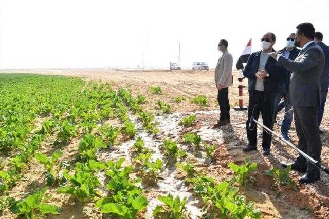 شاهد.. كيف تستثمر في أراضي مشروع مستقبل مصر؟