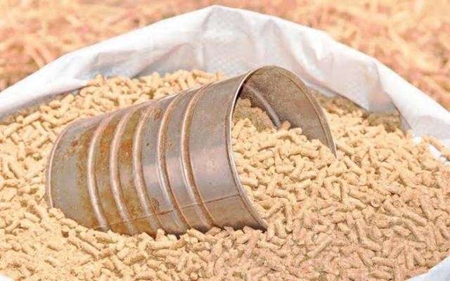أسعار الأعلاف اليوم