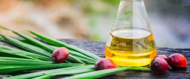 أزمة عمالة تواجهها ماليزيا.. فما مصير زيت النخيل؟