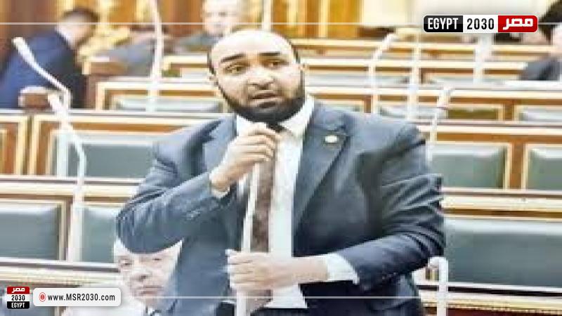 النائب محمود أبو الخير