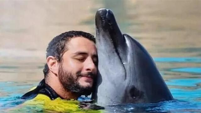أحمد الفيشاوي يلعب مع الدلافين داخل حمام السباحة «صور»