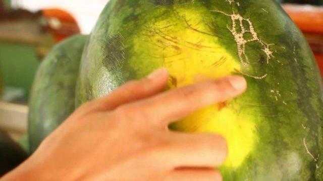 تعرّف على مواصفات البطيخة الحمراء قبل شرائها «فيديو»